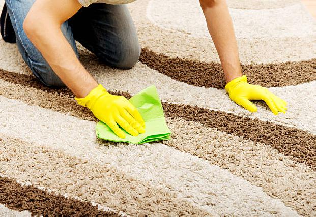 Area Rug Cleaning in Glendale