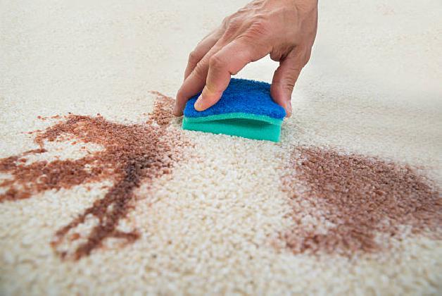 Pet Stain & Odor Removal in Glendale